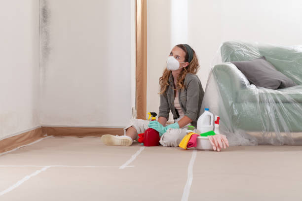 Reliable Mold Inspection contractor in Saint Cloud, FL by WQB Mold Removal